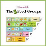 Image result for Five Basic Food Groups