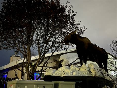 Brake + rotor repair/replace estimate: Approx. $900 for front and rear axles OK? : r/HondaElement