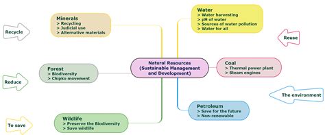 Concept map — lesson. Science CBSE, Class 10.