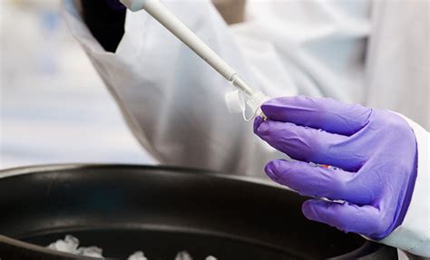 Latest Science. Research 的图像结果