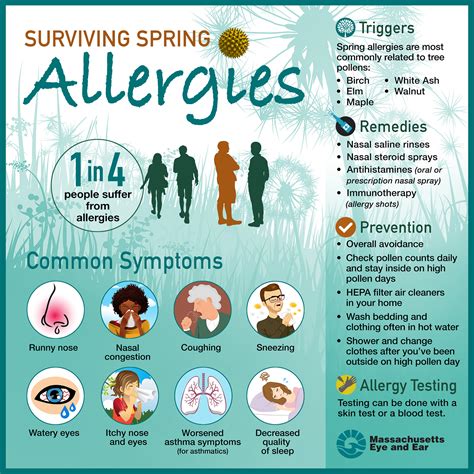 Spring Allergies Survival Guide - FOCUS - A health blog from Mass. Eye ...