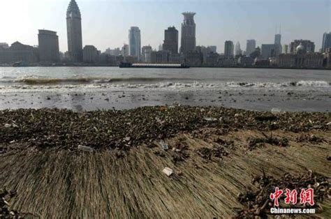 上海都市圈太大吗：1+3概念浮出水，五大新城是同城化关键_澎湃新闻-The Paper