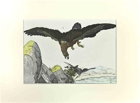 Johann Friedrich Naumann - Eagle - Etching by Johann Friedrich Naumann ...