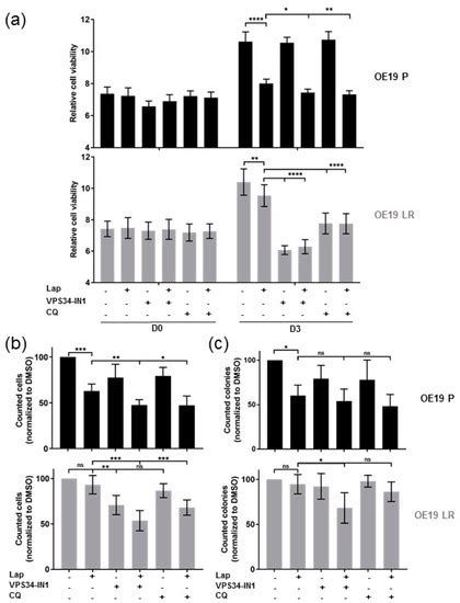Her2-Targeted Therapy Induces Autophagy in Esophageal Adenocarcinoma Cells