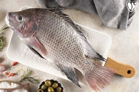 Order Tilapia Online
