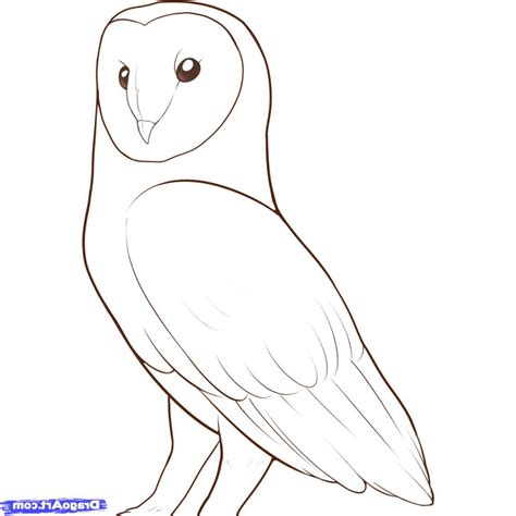 Owl Sketch Easy at PaintingValley.com | Explore collection of Owl Sketch Easy
