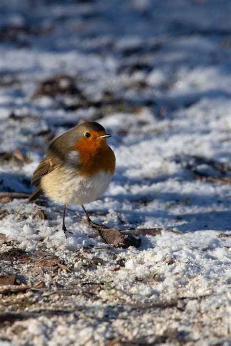 Huge+Oiled+Breasts Photos, Download The BEST Free Huge+Oiled+Breasts ...