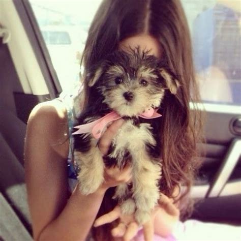 aqiualsq ♡ - YouTube