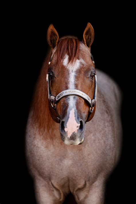 Image result for vs Code Red