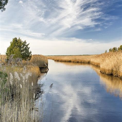 Image result for Clean Water