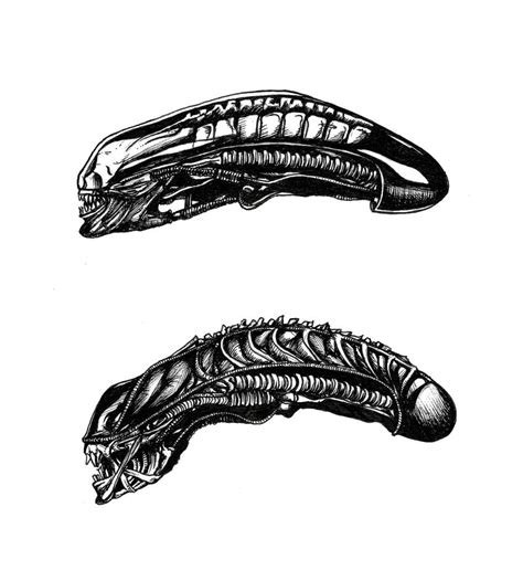 Image result for Alien Heads Have