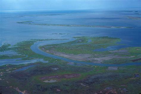 Swamp Aerial View 的图像结果