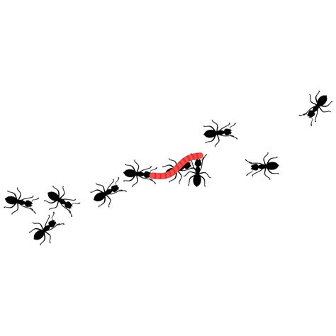 Vector illustration of a group of worker ants walking carrying food together on a white ...