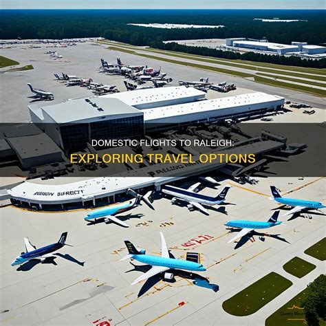 What Is Domestic Airlines