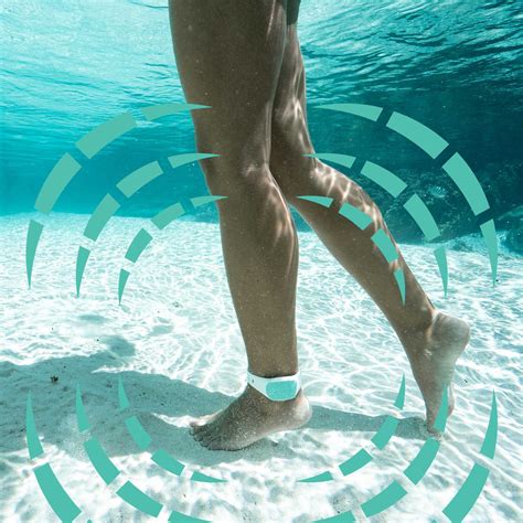 Sharkbanz: The Ultimate Guide to Shark Protection Technology - Seamagazine