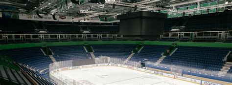 Arena Program 的图像结果