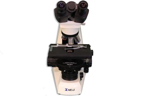 Image result for Compound Brightfield Microscope