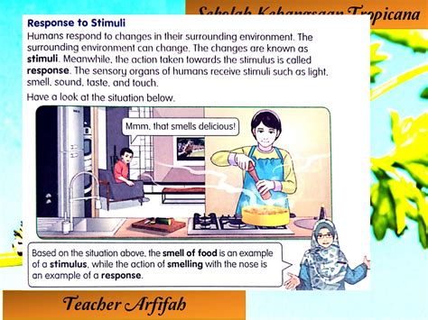 Response to Stimuli Example 的图像结果