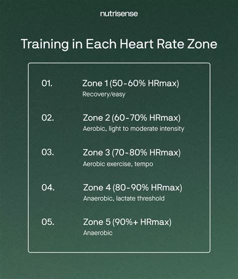 Zone 2 Training: Maximizing Cardiovascular Benefits - Nutrisense Journal