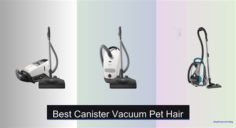 Best Canister Vacuums