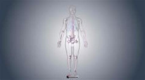 Ligaments - Ligaments - MSD Manual Consumer Version