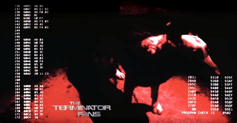 Image result for Terminator View