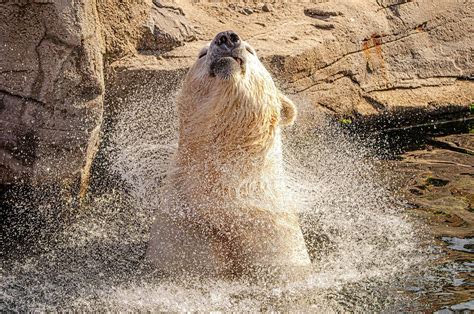 Image result for Decimal Module Python