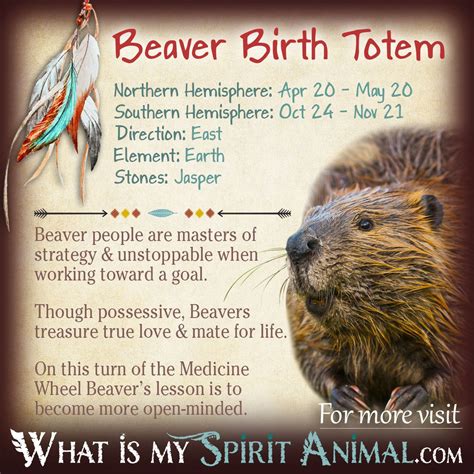 Beaver Zodiac Sign
