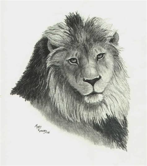 Lion Drawing Tutorial 的图像结果