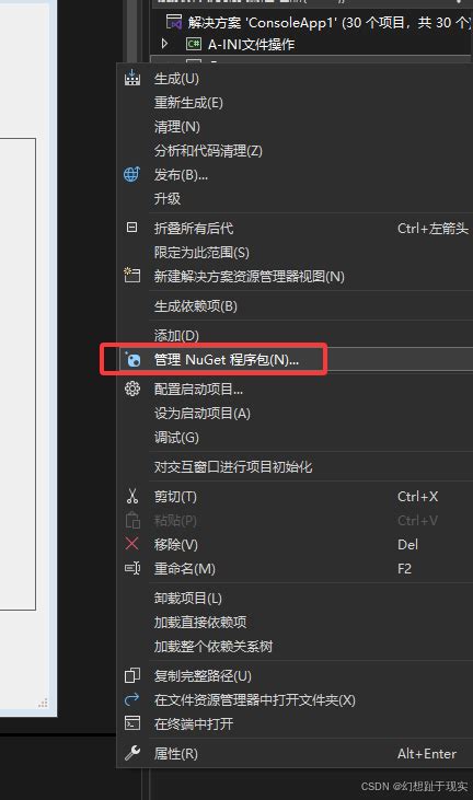AForge.NET Camera Tutorial VB.NET 的图像结果
