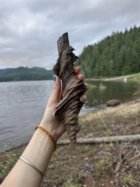 Image result for Dagger Stick