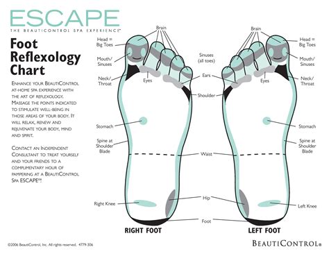 31 Printable Foot Reflexology Charts & Maps - Template Lab