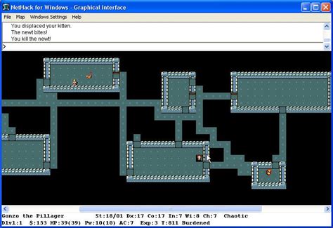 Image result for Playing NetHack