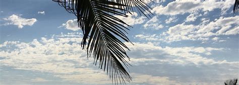 Escuintla Department Tourism: All You Need to Know Before You Go (2026)