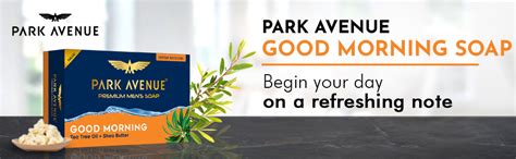 Buy Park Avenue Premium Men’s Soaps for Bath – Good Morning | 125g ...