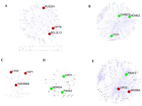 Identification of Critical Genes and Pathways for Influenza A Virus ...