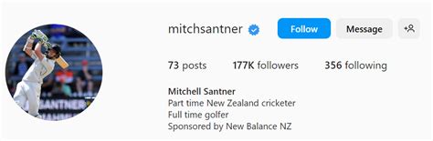 Part time...: NZ captain Mitchell Santner's Instagram bio will leave ...