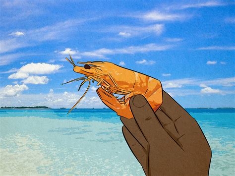 Shrimps Is Bugs: All About This Viral Meme on Reddit