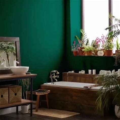 Dark green NCS paint colors reviews