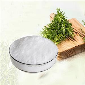 Ursolic acid Rosemary leaf extract - ChemicalBook India