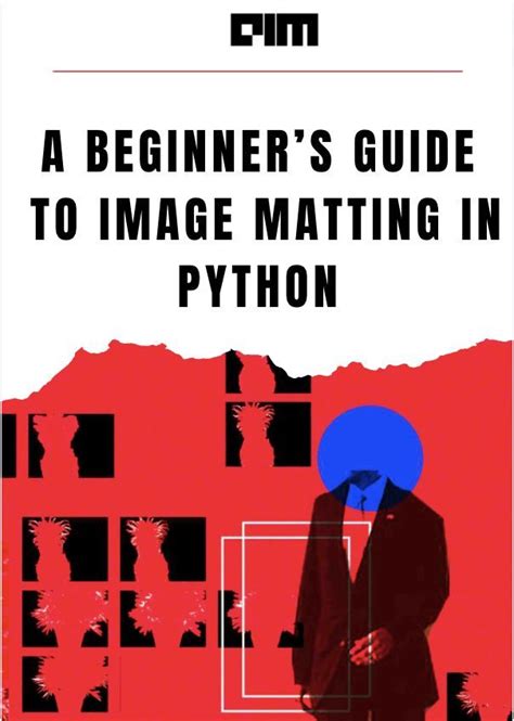 Python Matruce 的图像结果