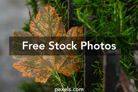 Image result for Free Transition Editor