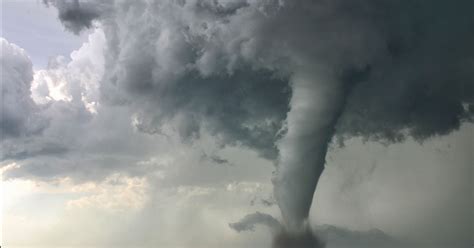 Article Usage Examples 的图像结果