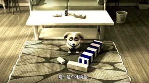 飞狗MOCO之宠物店的小秘密动画精选集 第11话_高清1080P在线观看平台_腾讯视频