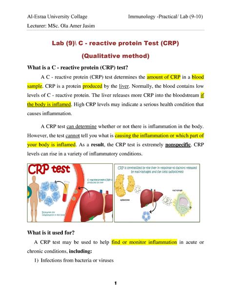 Lab C Reactive Protein at Angela Hagberg blog