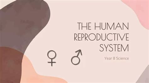 Image result for Life Science Human Reproduction System