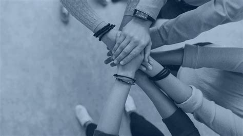 Experienced & diversified team | True North