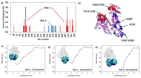 Computational Insight on the Interaction of Common Blood Proteins with ...