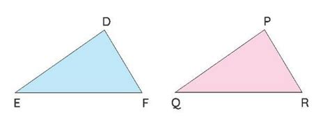 Examples Of SAS Rule With Diagram plz answer Any3 - Brainly.in
