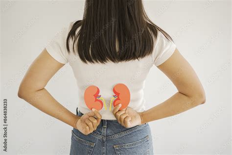 Image result for Handwritten Tutorials Kidney